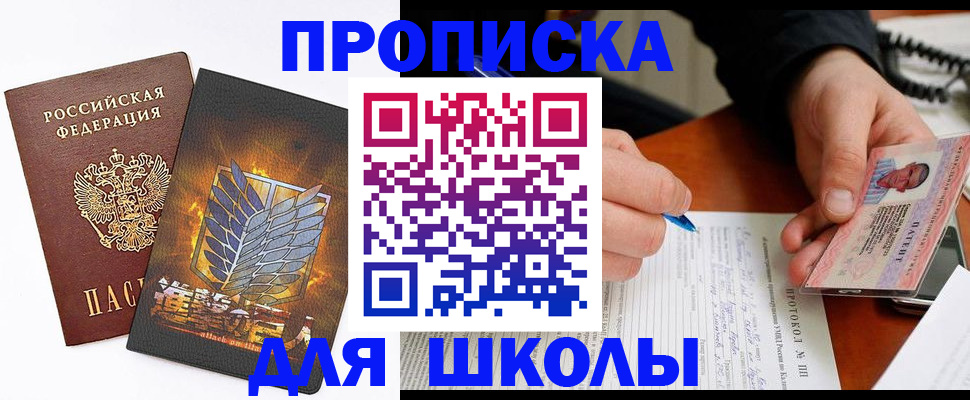 прописка поиск в Павловске